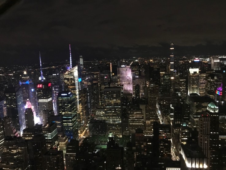 マンハッタンのエンパイアステートビルから見た夜景、煌めくビル群と街の明かりが広がる。