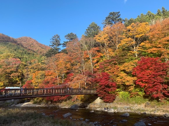 紅葉が美しい那須塩原市の「紅の吊り橋」と周囲の山々の風景。