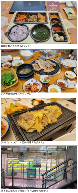韓国の伝統的な料理が並ぶテーブル、焼肉やビビンバ、キムチなどが盛り付けられている。