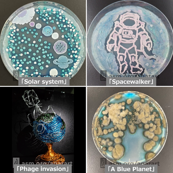 臨床検査学科の学生が制作したペトリ皿のアート作品、宇宙や生物をテーマにした4つのデザインが展示されています。