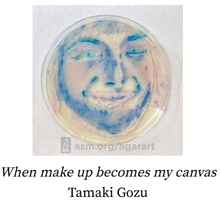 臨床検査学科の学生が制作した、顔の絵が描かれたペトリ皿のアート作品。