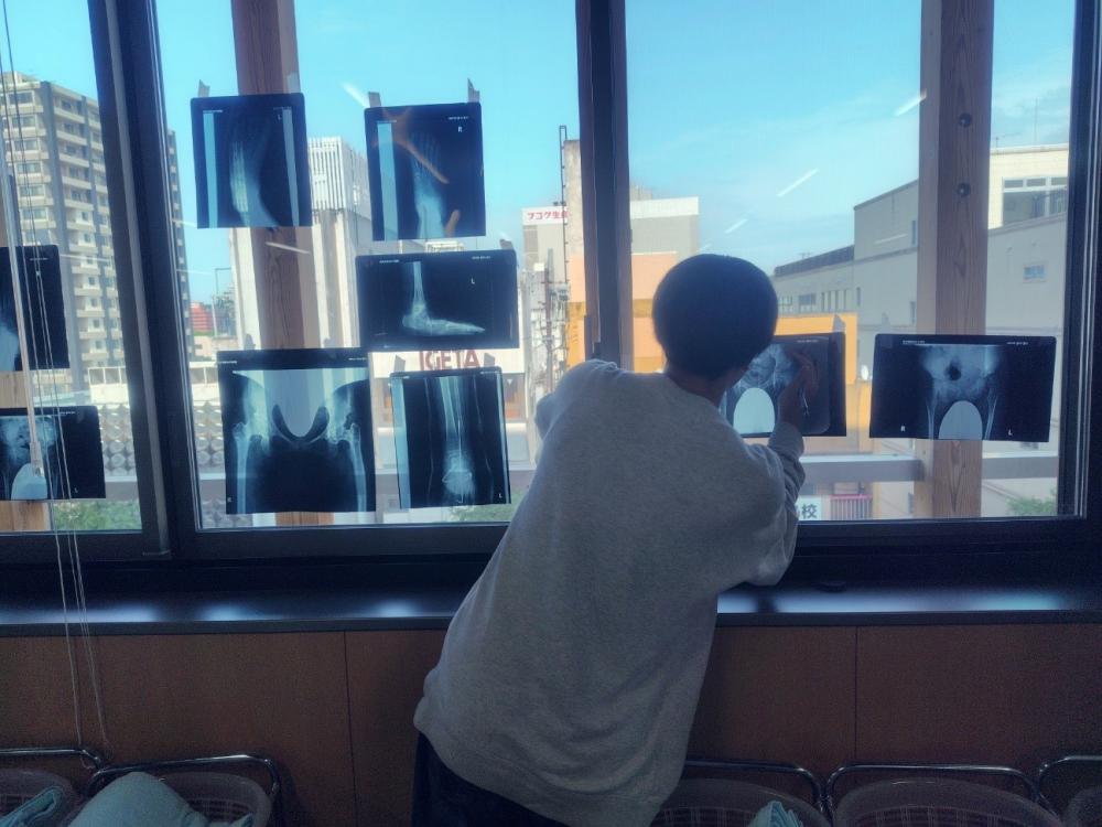 学内演習でレントゲンフィルムを扱う理学療法学科の学生が窓際で作業している様子。
