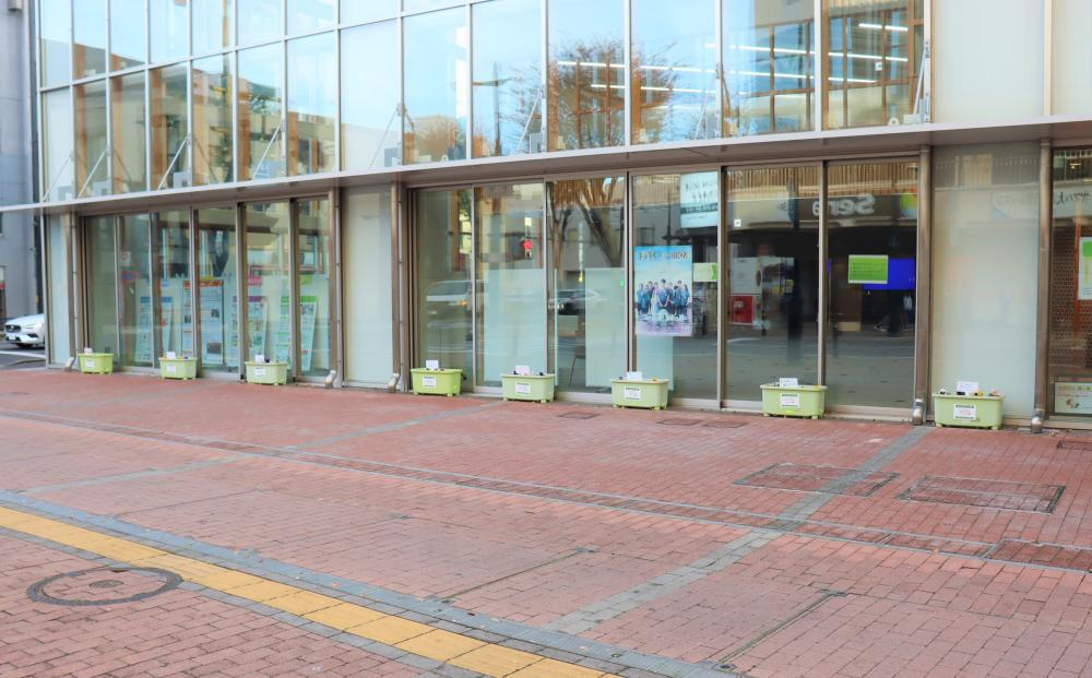 福島県立医科大学の前に設置された花のプランターが並ぶ様子。