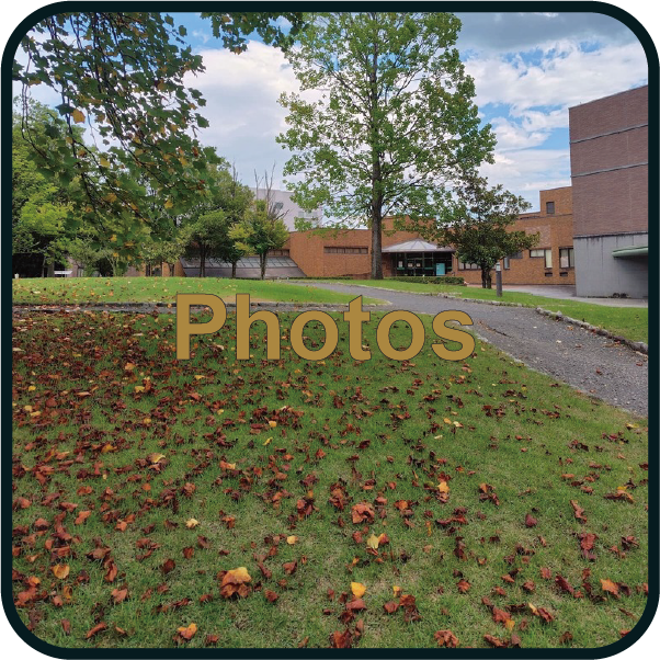 photos