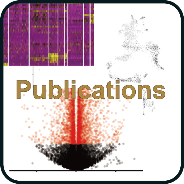 Publications
