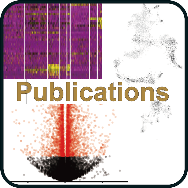 Publications
