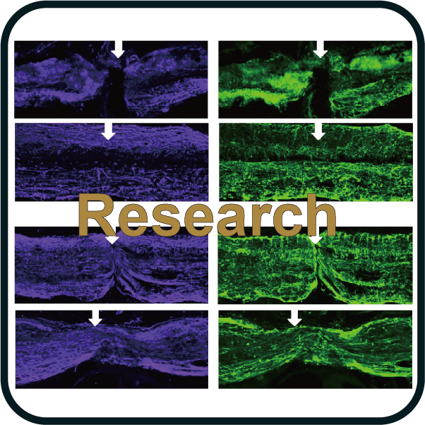 Research