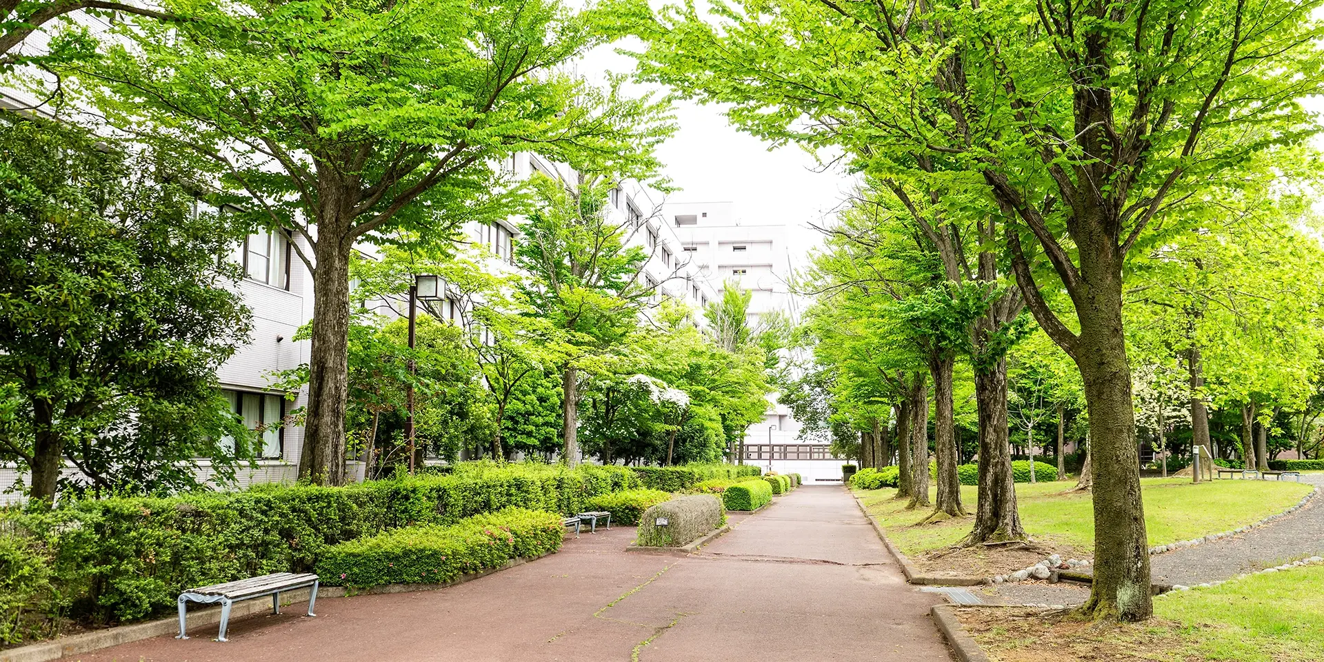 福島県立医科大学のウェブサイトの画面キャプチャ。背景はグレーで、サイズ情報が表示されています。