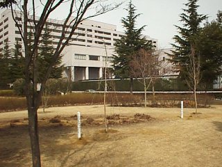 Photo: Afforestation in Commemoration of Retirement.