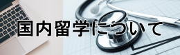 国内留学について