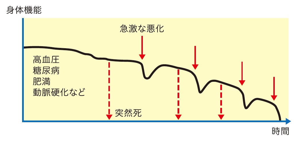 身体機能が時間の経過によって右下がりになっているグラフ