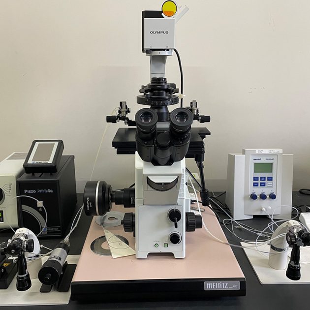 アトー社のWSE-6100 LuminoGraph I高感度化学発光撮影装置が設置された研究室の様子。