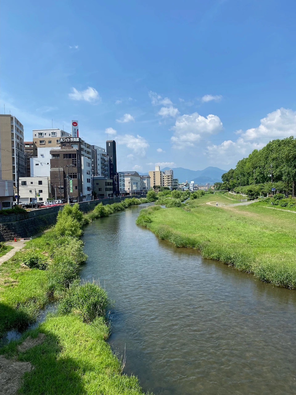 河川が穏やかに流れる風景。