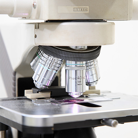 研修について About training