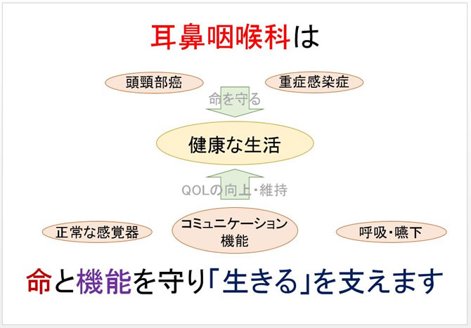 耳鼻咽喉科が命と機能を守り、健康な生活を支えることを示す図。要素には頭頸部癌、感染症、感覚器、呼吸などが含まれる。
