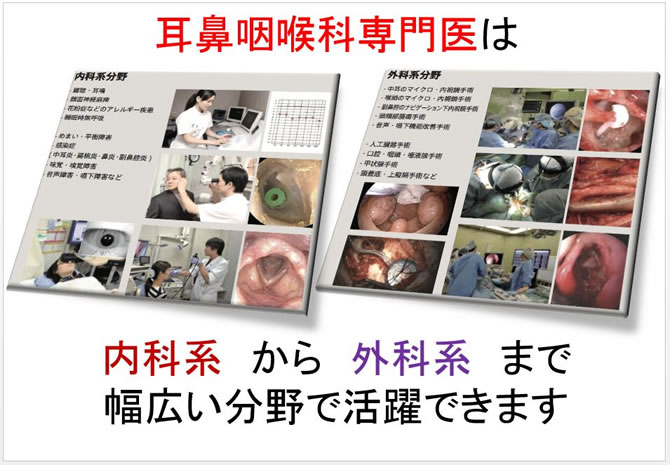 耳鼻咽喉科専門医の内科系と外科系活動を示す資料。各分野における診療や手術の場面の写真が配置されている。