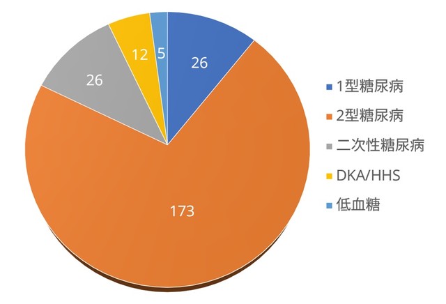 糖尿病患者の入院実績を示す円グラフ。2型糖尿病が173名で大半を占め、1型糖尿病や二次性糖尿病も含まれている。