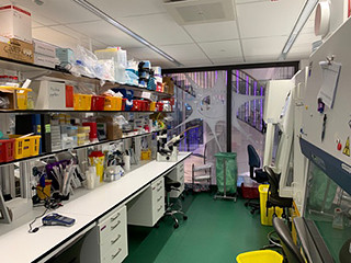 ラボ内の作業台に様々な実験器具や試薬が整然と並び、窓からは明るい光が差し込む様子。