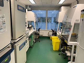 ラボ内の作業台に実験器具や試薬が整然と並び、明るい光が差し込む様子。