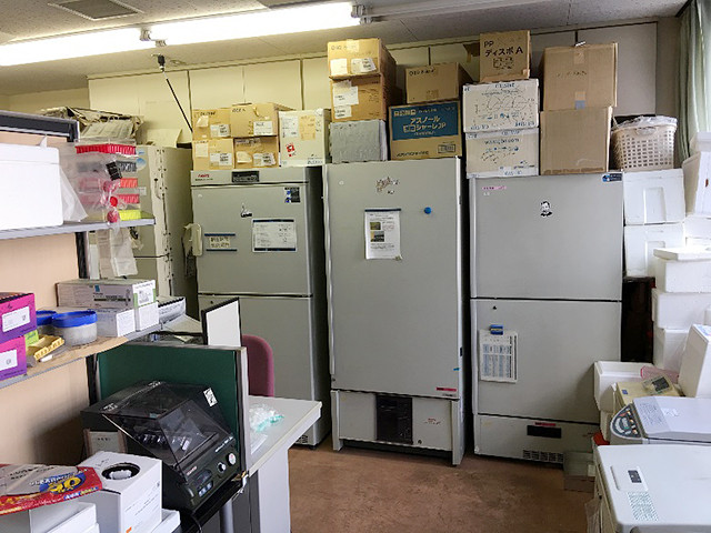サンプル保管用の冷蔵庫が並ぶ研究室の内部の様子。