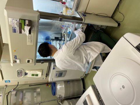 細胞実験用ベンチで作業を行う研究者の姿。実験器具や資料が整然と配置されている。