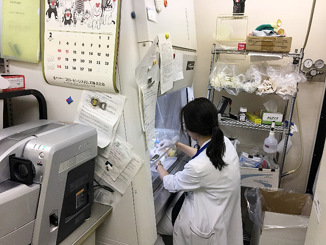 細胞実験用ベンチで作業を行う研究者の姿。実験器具や資料が整然と配置されている。