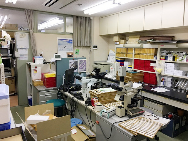 免疫染色室の内部、顕微鏡や資料が整然と配置された研究環境。
