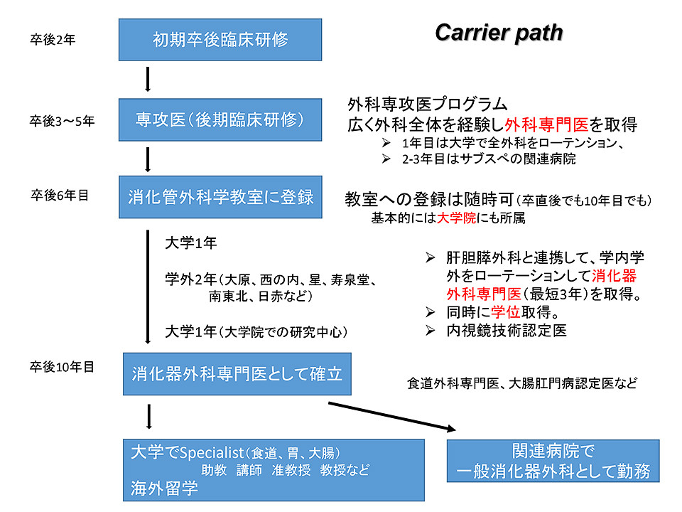 医学生のキャリアパスを示すフローチャート。外科専門医プログラムや大学院進学の道筋が描かれている。
