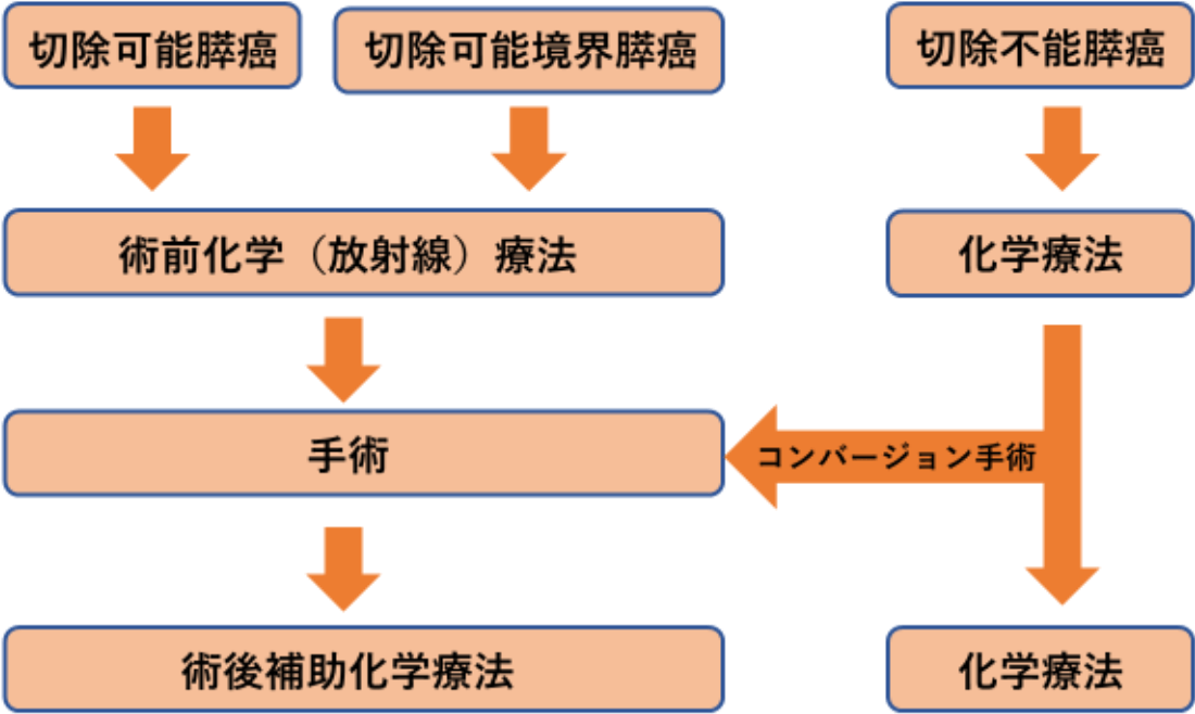 膵がんの治療法を示すフローチャート。切除可能、切除可能境界、切除不能の膵がんに対する治療の流れを視覚化。