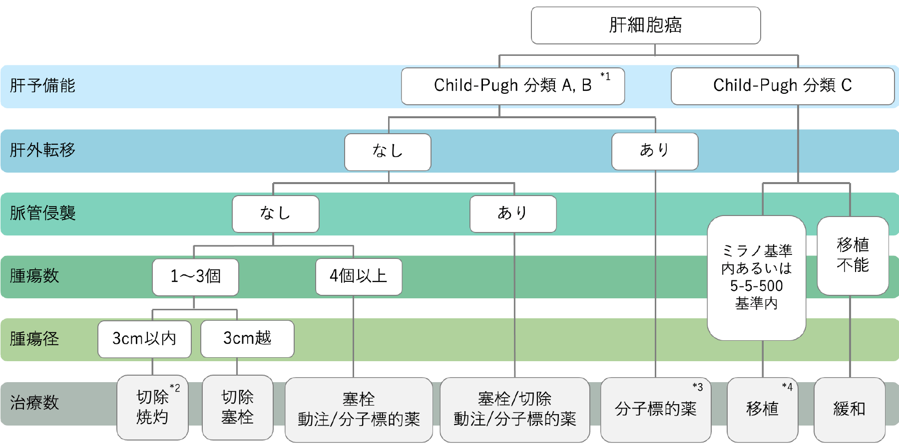 肝細胞がんの治療アルゴリズムを示すフローチャート。治療法や評価基準が整理されている。
