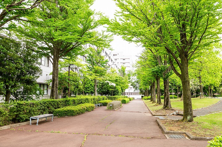 緑豊かな木々に囲まれたキャンパスの通路。晴天のもと、ベンチが配置され、後方には建物が見える。