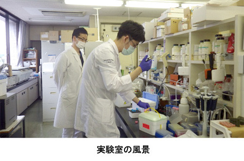 実験室で作業を行う研究者たちが、試薬を扱っている様子。