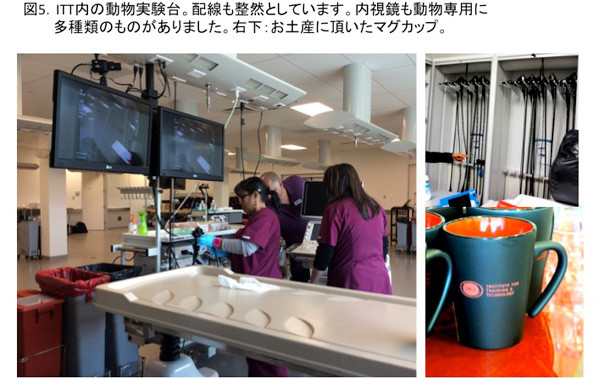 医療実習室で作業するスタッフと、色とりどりのマグカップが並ぶ様子。