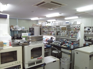 分子生物学的な実験、組織化学実験などを行う実験室。