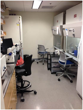 細胞培養に使用されている部屋。