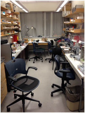 工作室の様子。