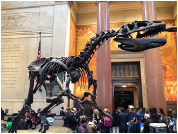 博物館のホールに展示された大型の恐竜。