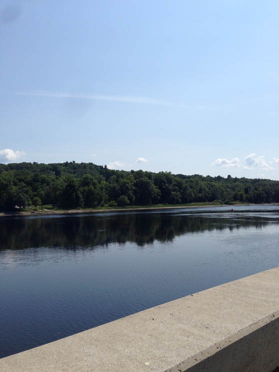 川と緑豊かな木々が背景に広がる風景。青