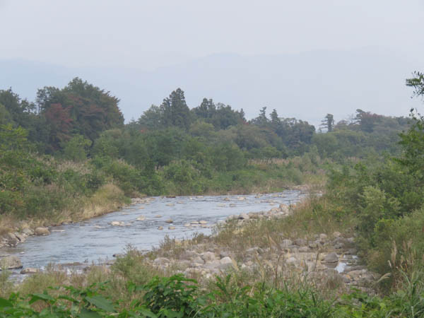 緑豊かな木々に囲まれた川。