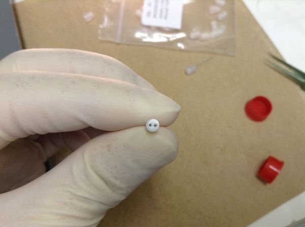 ダブルガイドカニューラの上から見た図の写真。