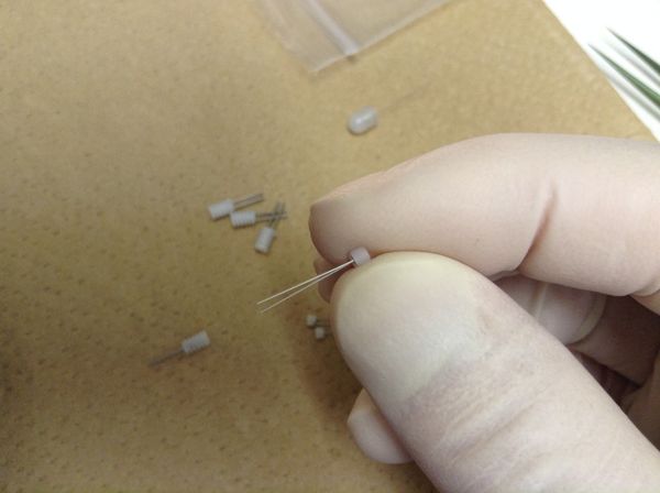 ダミーの側面の写真。