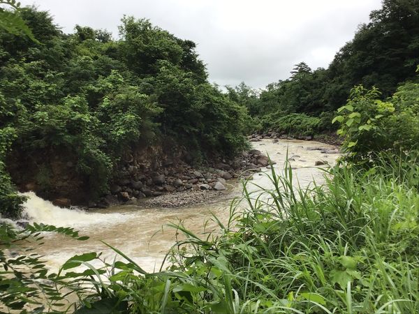 荒川の景色写真。