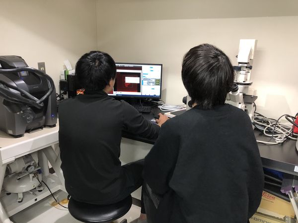 組織解析中の学生さんの様子。