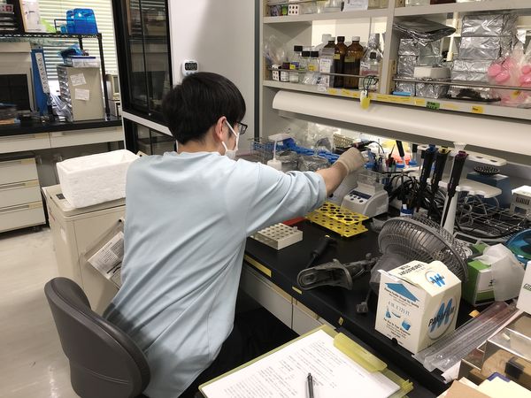 実験中の学生さんの様子。