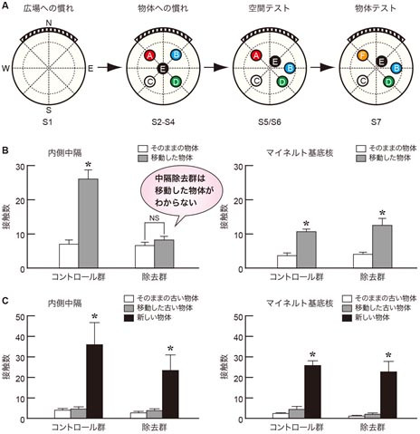 連続物体探索課題の図