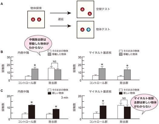 単回物体探索課題の図