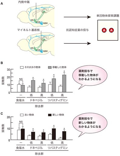 抗認知症薬投与後の状態を示す図。