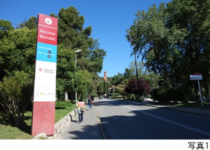 バルセロナ大学のRecinte Mundetキャンパスの風景、緑豊かな道を歩く人々が写っている。