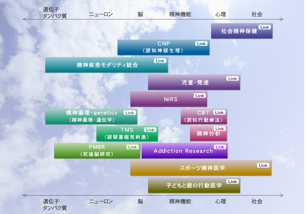 福島県立医科大学の研究分野を示すカラフルな図表、各研究チームの名称とリンクが表示されています。