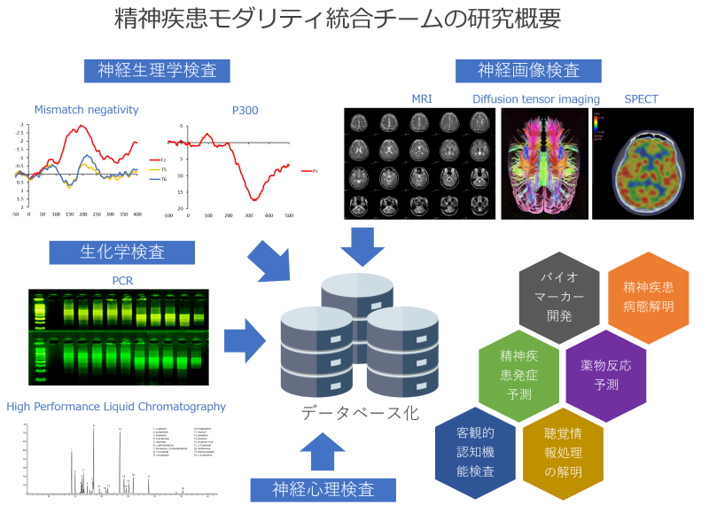 精神疾患モダリティ統合の研究概要を示す図。神経生理学検査、神経画像検査、生化学検査の各手法が示されている。